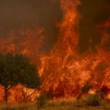 Les feux ravagent l'Espagne depuis plusieurs semaines. KEYSTONE/EPA/BRAIS LORENZO